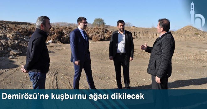 Demirözü’ne Kuşburnu Ağacı Dikilecek