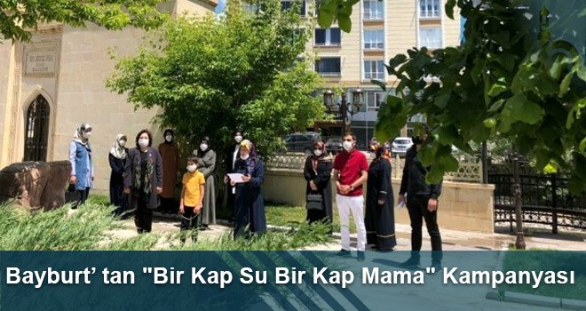 Bayburt'tan "Bir Kap Su Bir Kap Mama" Kampanyası