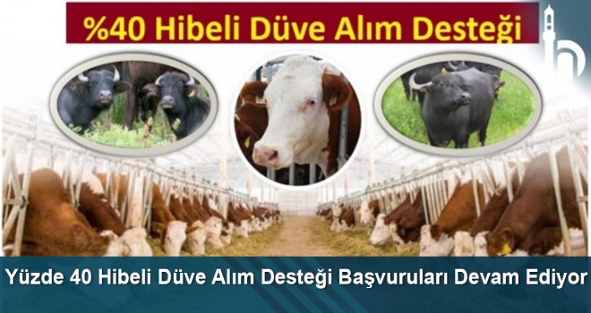 Yüzde 40 hibeli düve alım desteği başvuruları devam ediyor