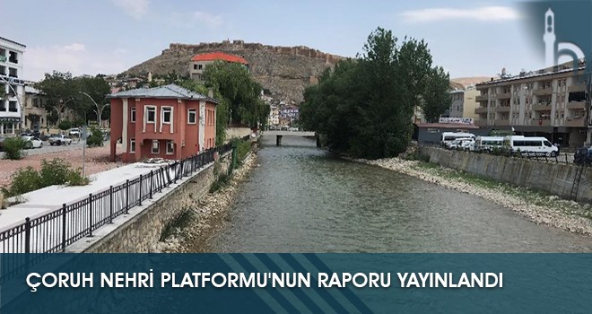 Çoruh Nehri Platformu'nun Raporu Yayınlandı