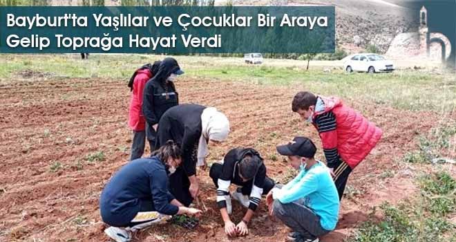 Bayburt'ta Yaşlılar ve Çocuklar Bir Araya Gelip Toprağa Hayat Verdi