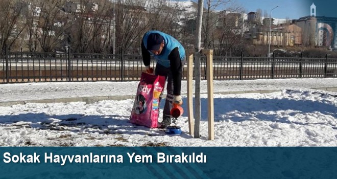 Sokak Hayvanlarına Yem Bırakıldı