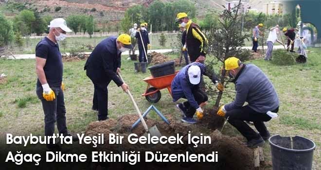 Bayburt’ta Yeşil Bir Gelecek İçin Ağaç Dikme Etkinliği Düzenlendi