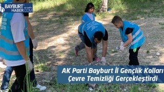 AK Parti Bayburt İl Gençlik Kolları Çevre Temizliği Gerçekleştirdi