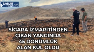 Sigara İzmaritinden Çıkan Yangında 45 Dönümlük Alan Kül Oldu