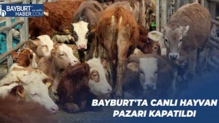 Bayburt'ta Canlı Hayvan Pazarı Kapatıldı