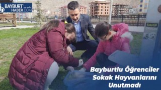 Bayburtlu Öğrenciler Sokak Hayvanlarını Unutmadı