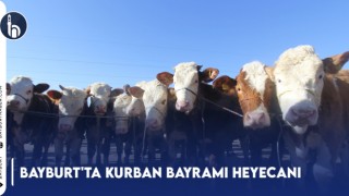 Bayburt'ta Kurban Bayramı Heyecanı