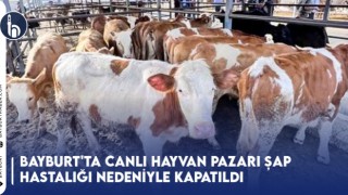 Bayburt'ta Canlı Hayvan Pazarı Şap Hastalığı Nedeniyle Kapatıldı