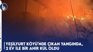 Yeşilyurt Köyü'nde Çıkan Yangında, 2 Ev İle Bir Ahır Kül Oldu