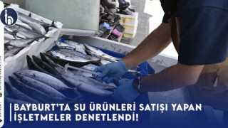 Bayburt’ta Su Ürünleri Satışı Yapan İşletmeler Denetlendi!