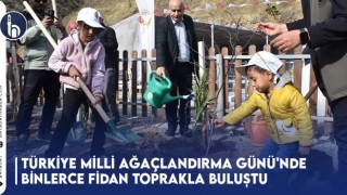 Türkiye Milli Ağaçlandırma Günü'nde Binlerce Fidan Toprakla Buluştu