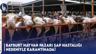 Bayburt Hayvan Pazarı Şap Hastalığı Nedeniyle Karantinada!