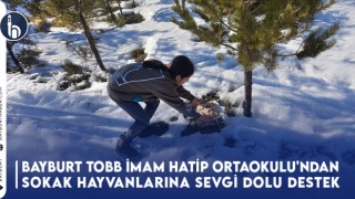 Bayburt TOBB İmam Hatip Ortaokulu'ndan Sokak Hayvanlarına Sevgi Dolu Destek