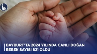 Bayburt’ta 2024 Yılında Canlı Doğan Bebek Sayısı 821 Oldu