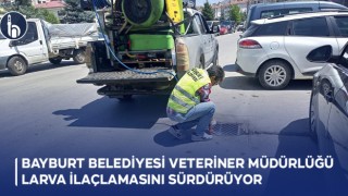 Bayburt Belediyesi Veteriner Müdürlüğü, Larva İlaçlamasını Sürdürüyor