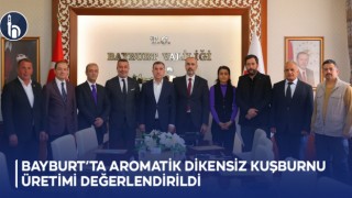 Bayburt’ta aromatik dikensiz kuşburnu üretimi değerlendirildi
