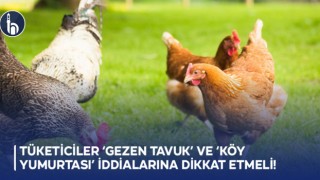 Tüketiciler ‘Gezen Tavuk’ ve ‘Köy Yumurtası’ İddialarına Dikkat Etmeli