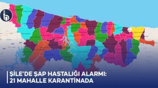 Şile’de Şap Hastalığı Alarmı: 21 Mahalle Karantinada