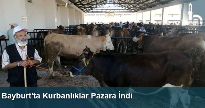 Bayburt'ta Kurbanlıklar Pazara İndi