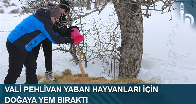 Vali Pehlivan Yaban Hayvanları İçin Doğaya Yem Bıraktı