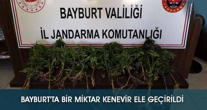 Bayburt'ta Bir Miktar Kenevir Ele Geçirildi