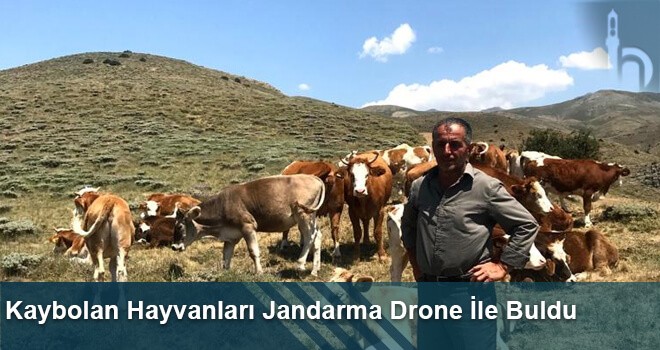 Kaybolan Hayvanları Jandarma Drone İle Buldu