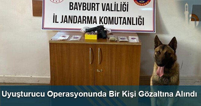 Uyuşturucu Operasyonunda Bir Kişi Gözaltına Alındı