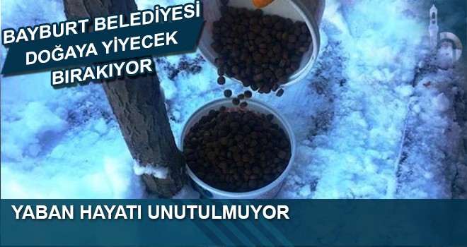 Yaban Hayatı Unutulmuyor