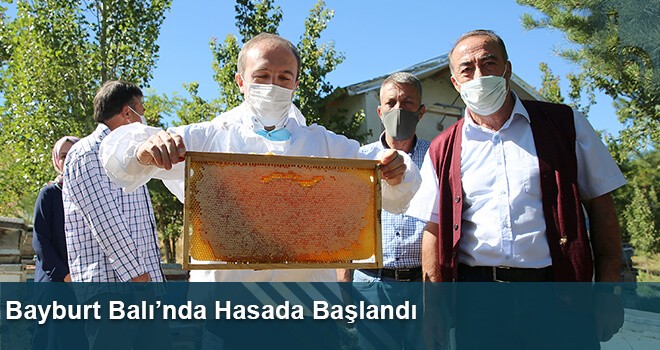 Bayburt Balı’nda Hasada Başlandı