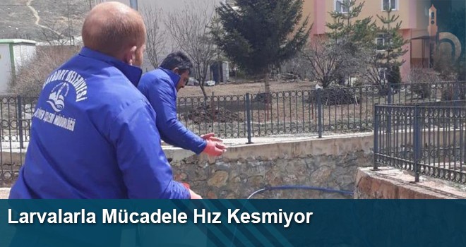 Bayburt Belediyesi Larvalarla Mücadelesi Hız Kesmeden Devam Ediyor