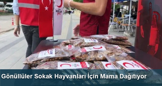 Gönüllüler Sokak Hayvanları İçin Mama Dağıtıyor