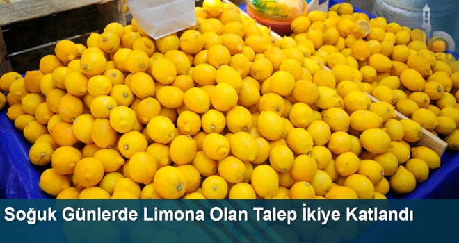 Soğuk günlerde limona olan talep ikiye katlandı